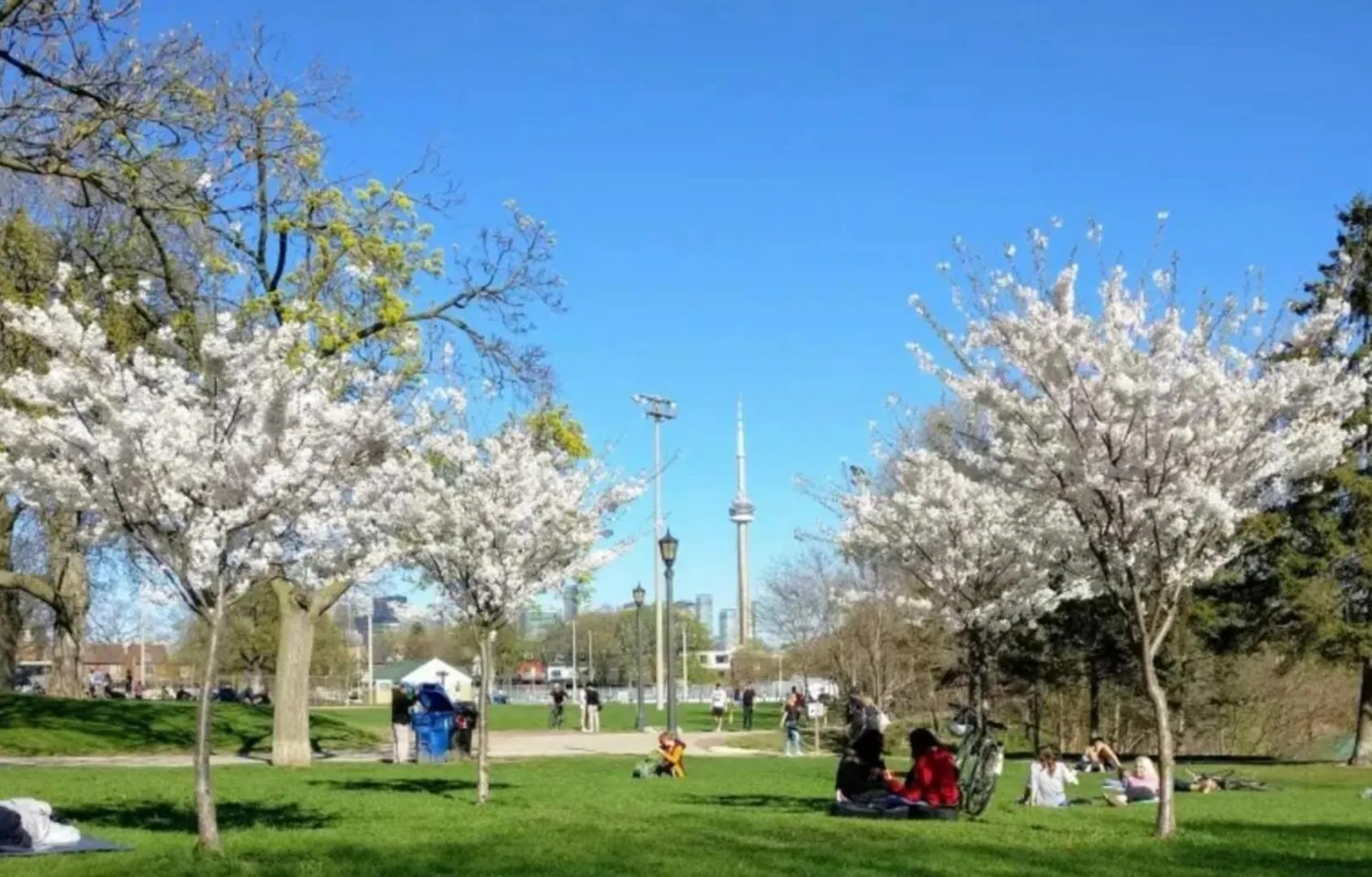 Central Downtown Toronto - Trinity Bellwood Park